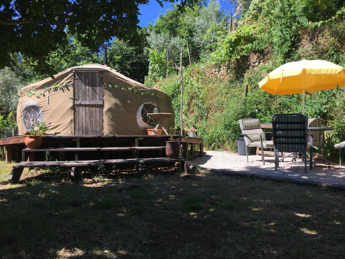 Star Gazing Luxury Yurt With River Views, Off Grid Eco Living Vale do Barco Ngoại thất bức ảnh