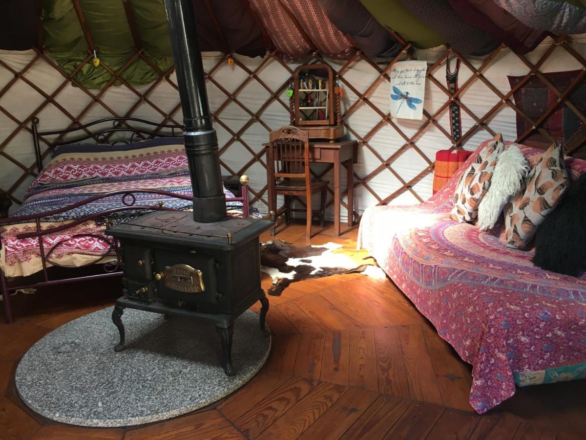 Star Gazing Luxury Yurt With River Views, Off Grid Eco Living Vale do Barco Ngoại thất bức ảnh