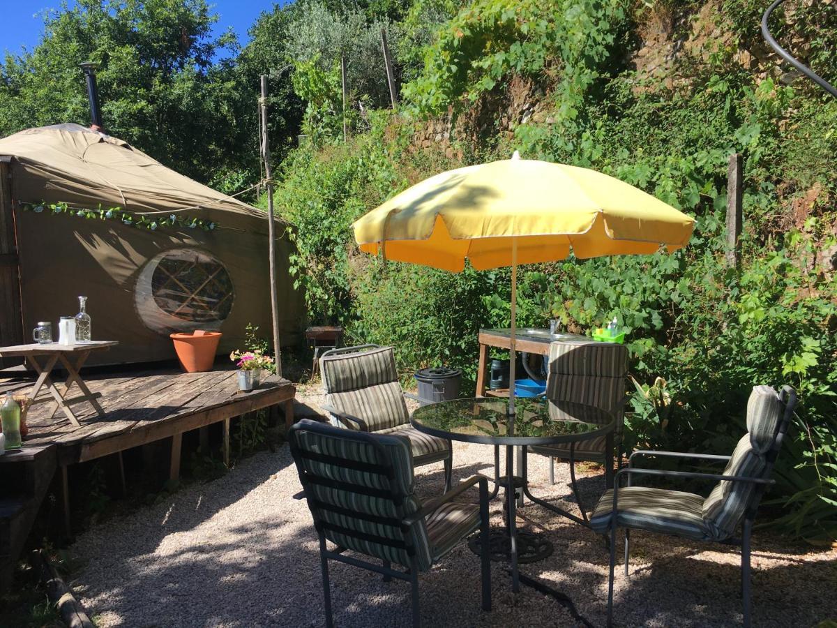 Star Gazing Luxury Yurt With River Views, Off Grid Eco Living Vale do Barco Ngoại thất bức ảnh